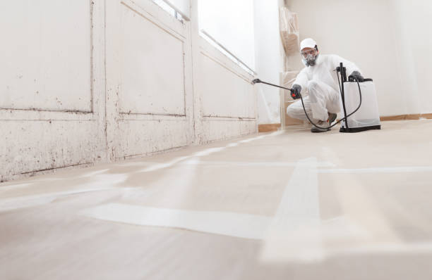24/7 Emergency Mold Cleanup experts in Morristown, TN